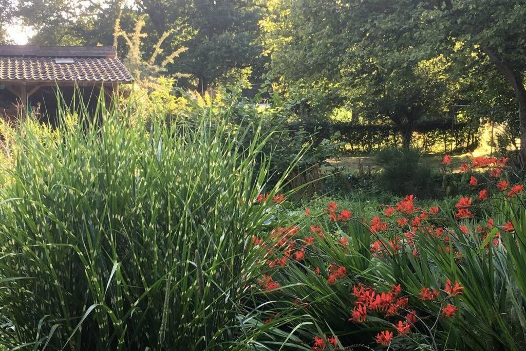 Gemuetliches Nest Fuer Zwei Personen Zum Ausspannen Beverstedt Exterior photo